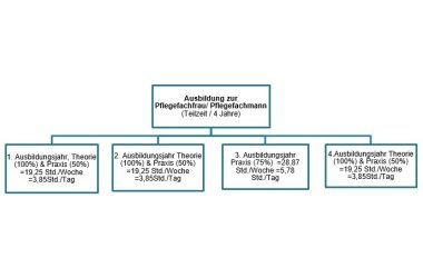 Organigramm Ausbildung zur Teilzeitpflege